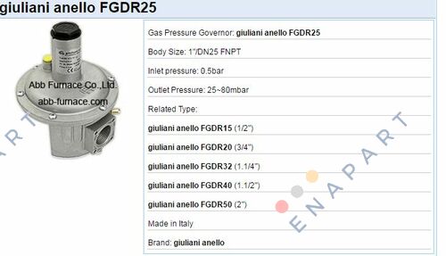 009.0222.101 Gas pressure regulator